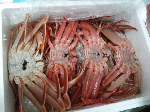 인영수산 이미지