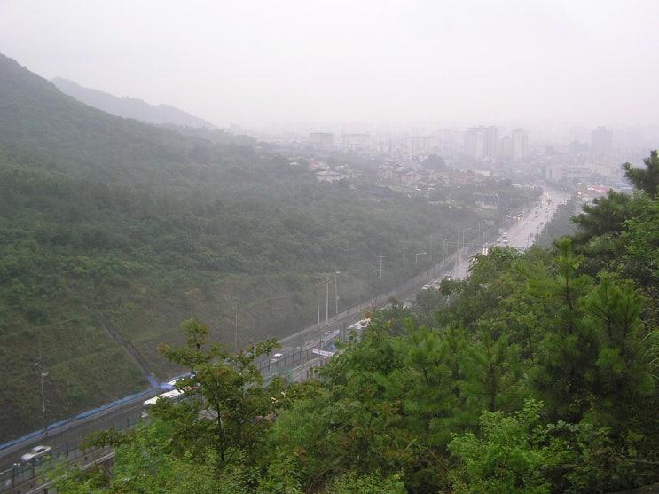 중구봉(276m) 이미지