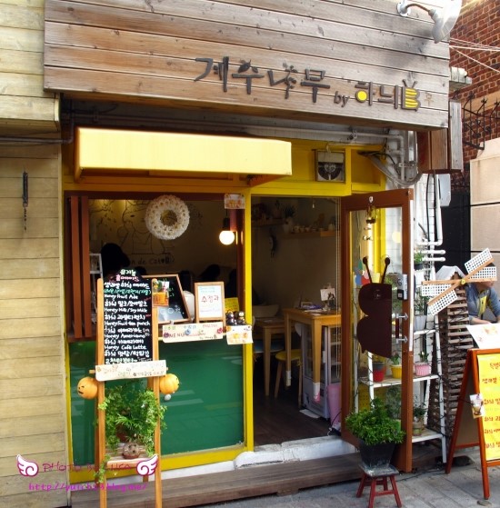 하늬마을나무 이미지