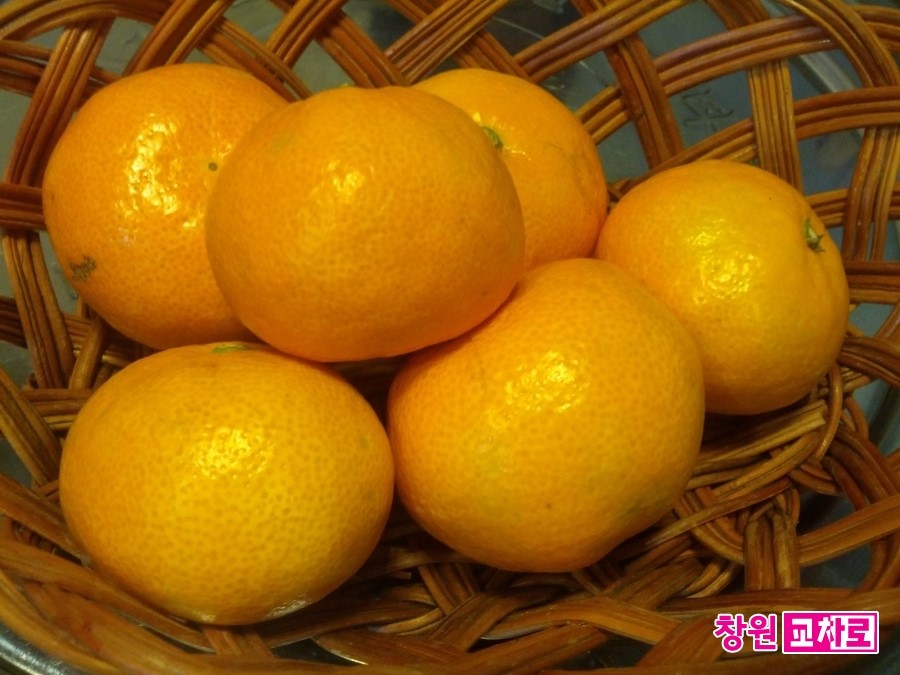 안골포돌장어구이 이미지
