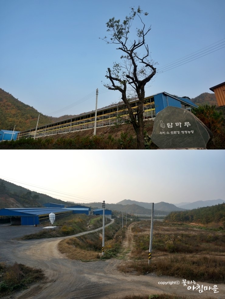탐마루장흥한우 이미지