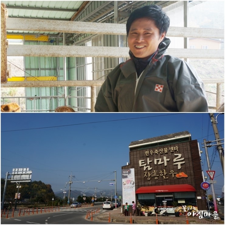 탐마루장흥한우 이미지