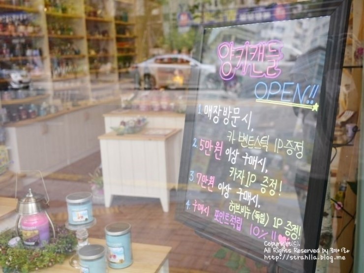 양키캔들보니 이미지