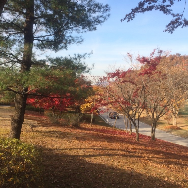 승우푸드 이미지