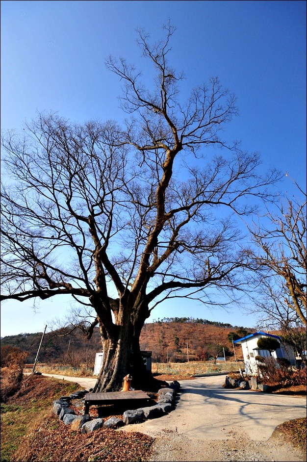 나그네 캠핑장 이미지