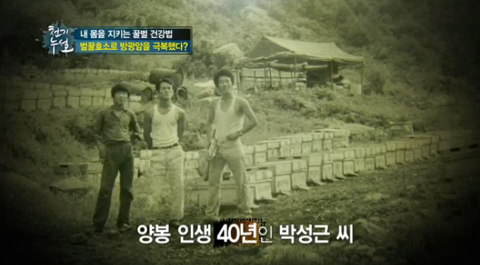 일월산양봉원 이미지