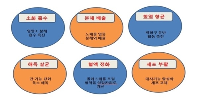선약한의원 이미지