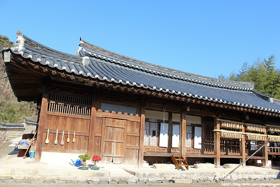 황금메주 이미지