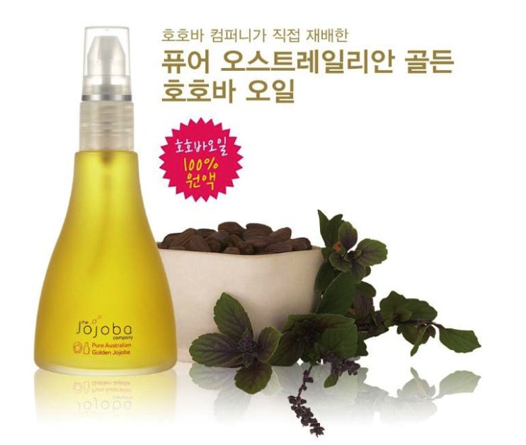 오일컴퍼니 이미지