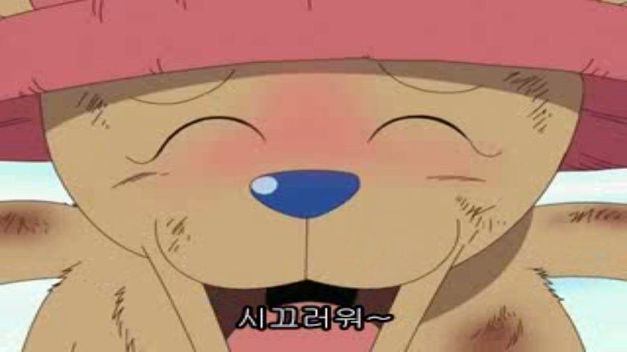 토끼의 선물 이미지