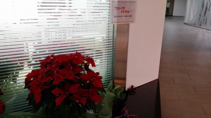 강동구청구내식당 이미지