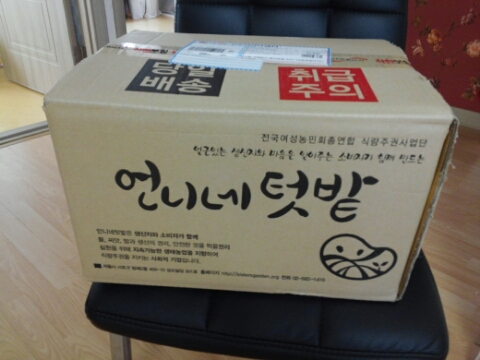 언니네텃밭 고성공동체 이미지