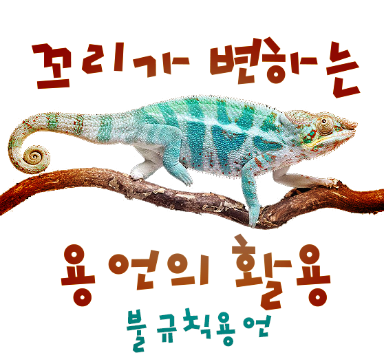 용언의 활용 / 불규칙용언 : 네이버 블로그