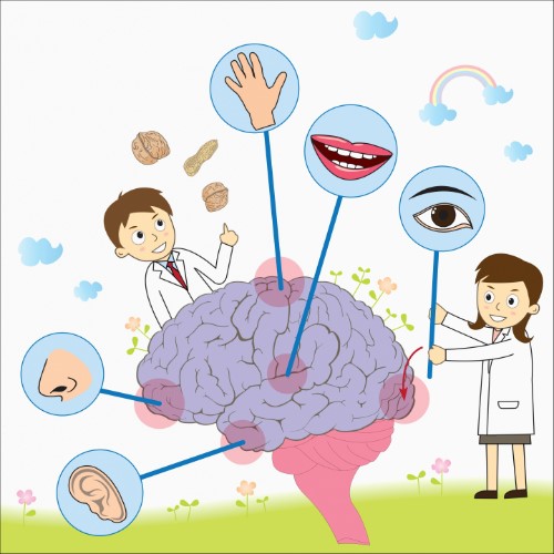 장익수성형외과 이미지