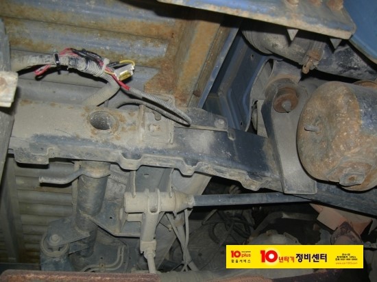 거북이자동차나라 이미지
