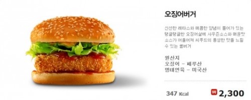 오징어의 하루 이미지
