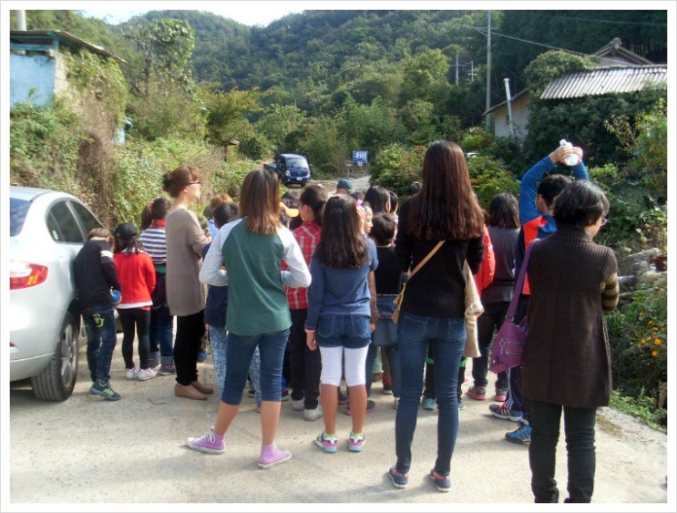 마량초등학교 이미지
