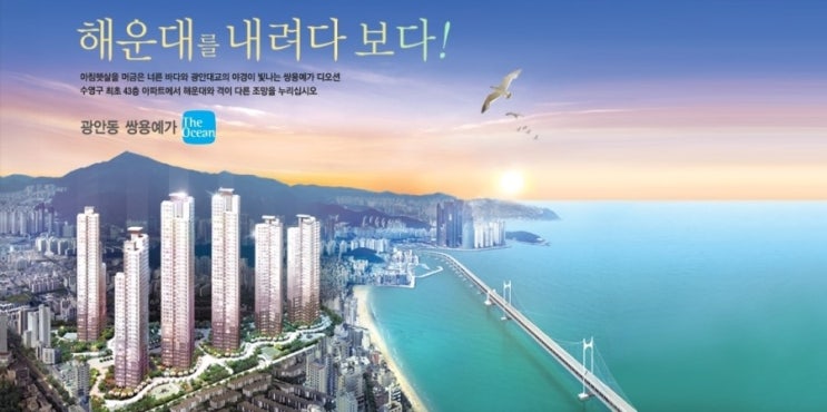 쌍용신발 이미지