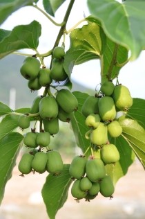 (주)산들그린 이미지