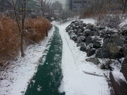 한빛내과 이미지