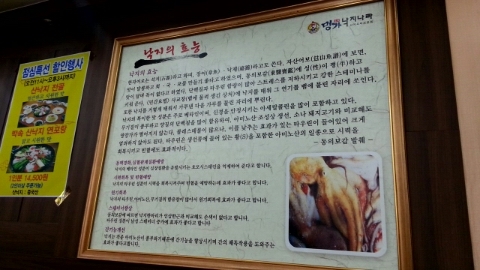 낙지나라 이미지