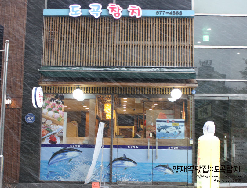도곡참치 이미지