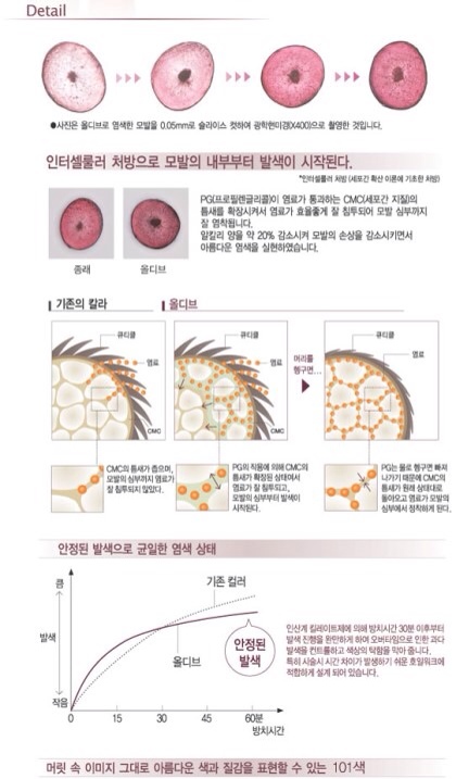 올디브헤어 이미지