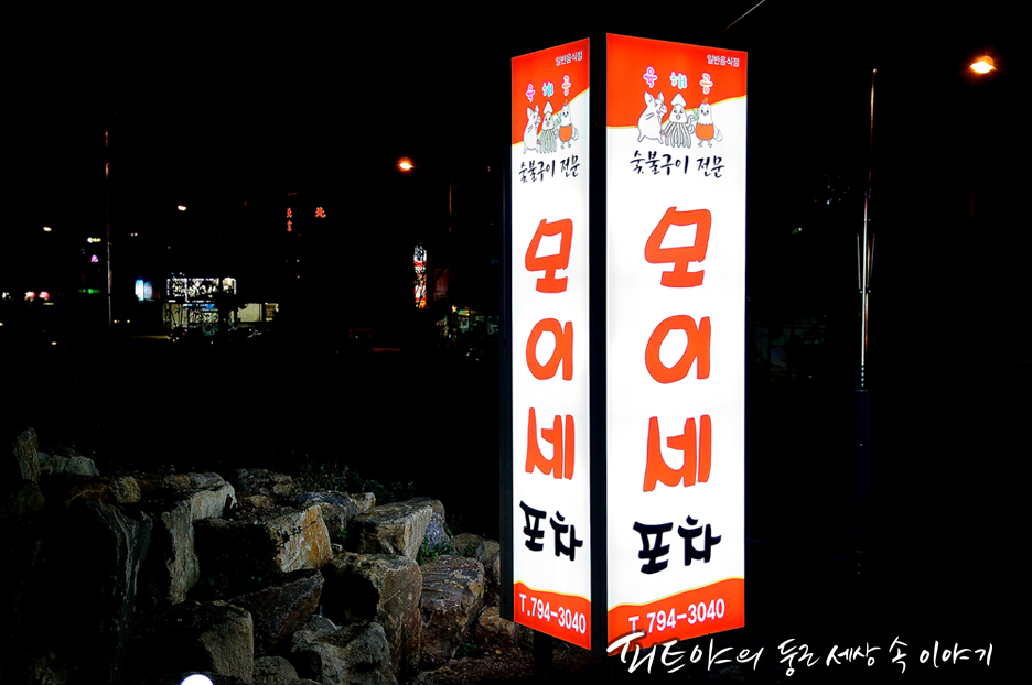 모이세포차 이미지
