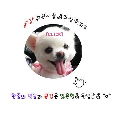 노미네일 이미지