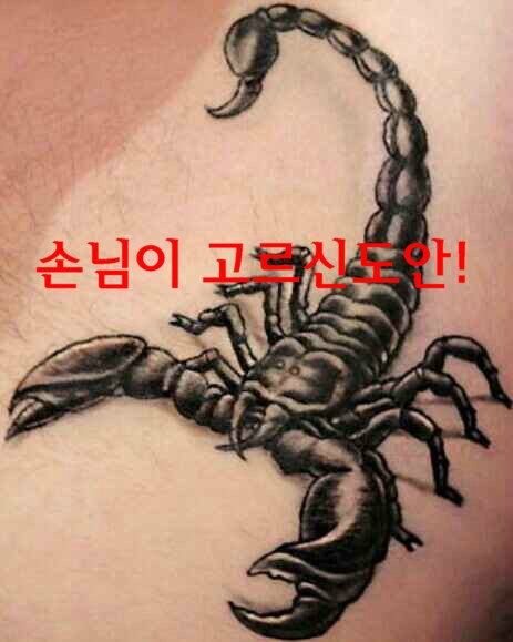 전갈샵 이미지