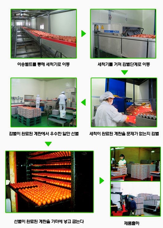 명품구운란 이미지