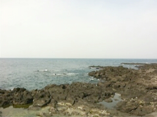 미요네 이미지