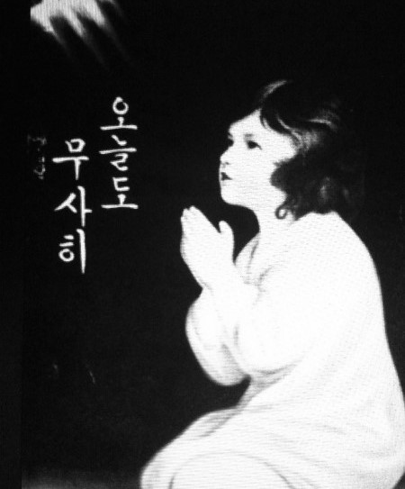모찌의하루 이미지