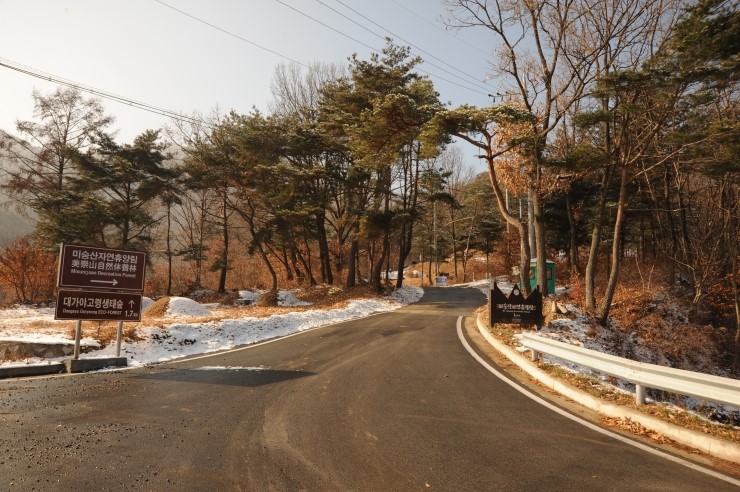 미숭산자연휴양림 이미지