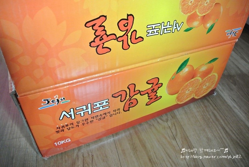 제주담은집 이미지