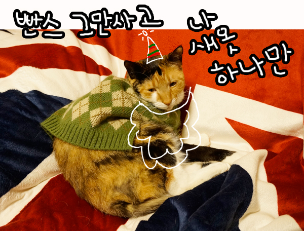 락앤프레쉬 이미지
