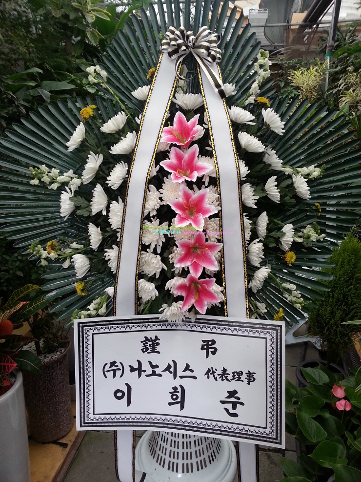 (주)나노시스 이미지