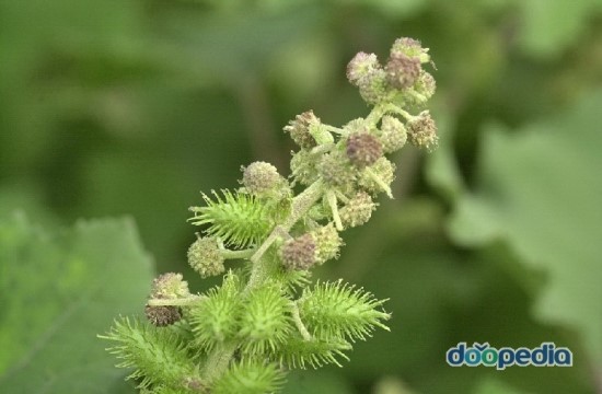 상상출판사 이미지