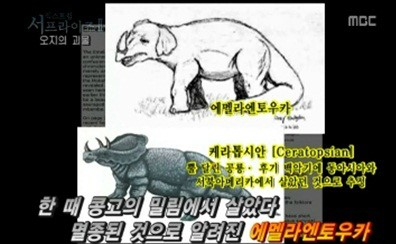 엔토 이미지
