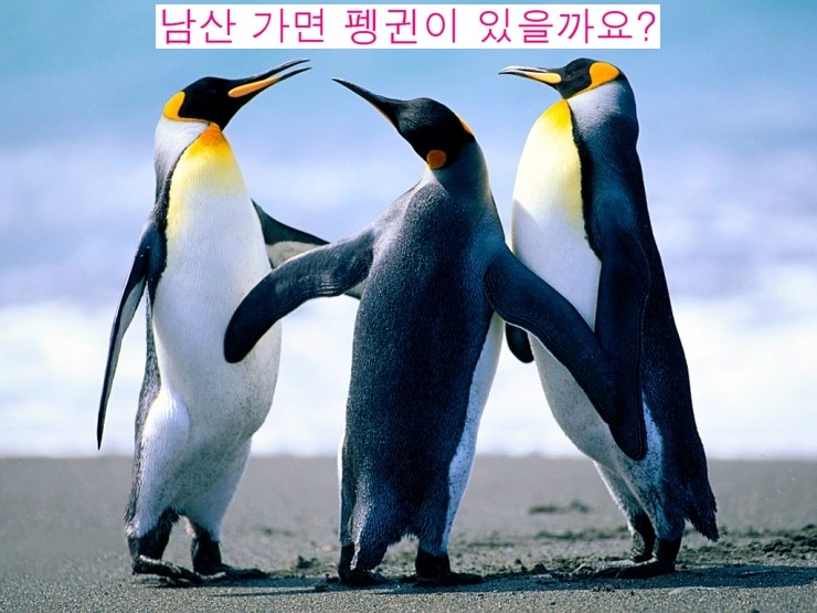 남산식당 이미지