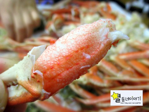 원조등대수산 이미지