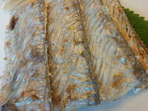 제주어장 이미지