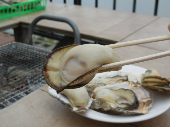 구이마루 이미지