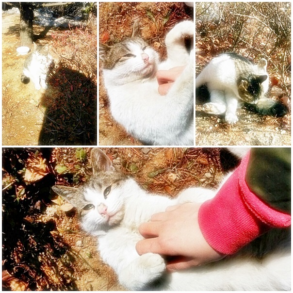 송*군 이미지