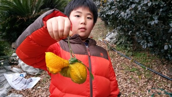 다인건축인테리어 이미지
