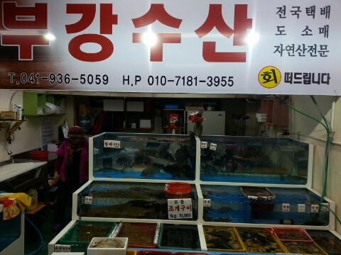 부강수산 이미지