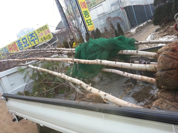 가산조경 이미지