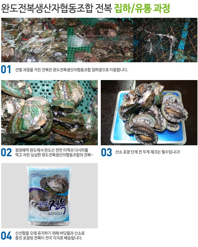 완도전복 이미지
