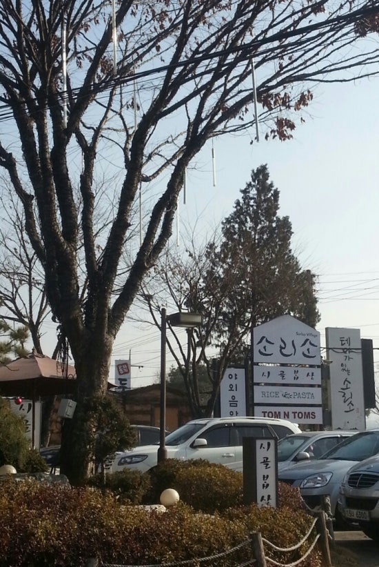 탐라이스 이미지