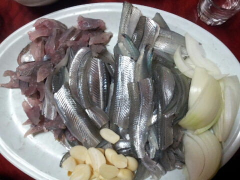 오늘바다 이미지
